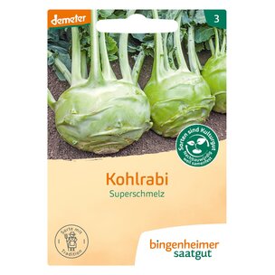 Kohlrabi Superschmelz