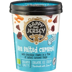 HMJ - BIO/Organic Ice Cream: Sea Salted Caramel 500ml