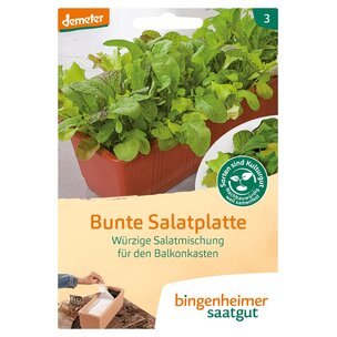 Bunte Salatplatte Saatplatte