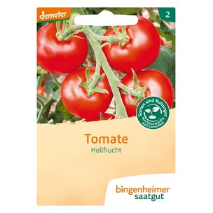 Tomate Hellfrucht