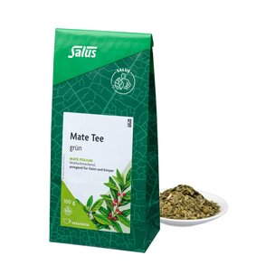 Salus® Mate Tee grün bio