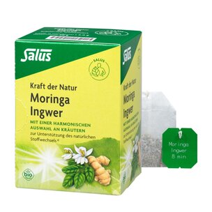 Salus® Kraft d. Natur Moringa IngwerKrTee bio 15FB