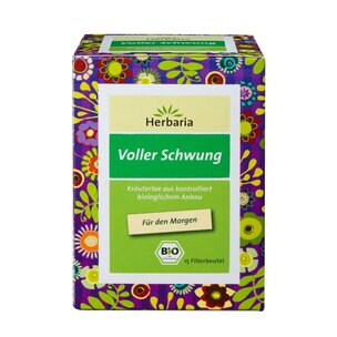 Voller Schwung Tee bio 15 FB