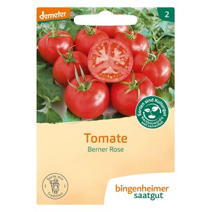 Tomate Berner Rose