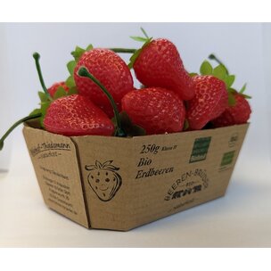 Erdbeeren frisch 250g Bioland