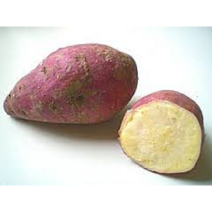 Süßkartoffel frisch Uganda