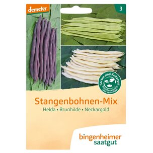 Stangenbohne Stangenbohnen-Mix