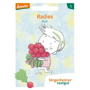 Garten-Bande - Radies Rudi