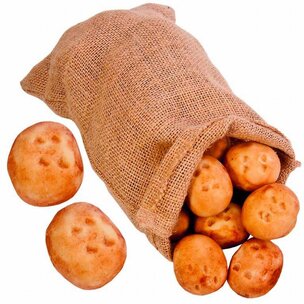 BIO Kartoffeln im Jutesack