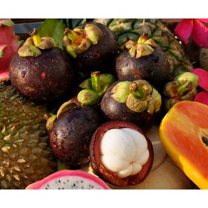 Mangostan frisch Thailand