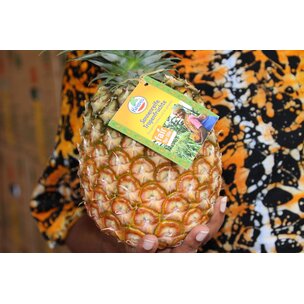 Ananas frisch 