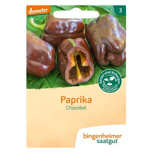 Chocobel -  schokoladenfarbige  Blockpaprika