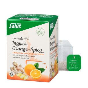 Salus® Gourmet Orange-Spicy Ingwer Tee bio 15 FB