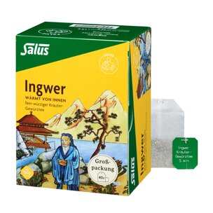 Salus® Ingwer Kräuter-Gewürztee-Mischung bio 40 FB