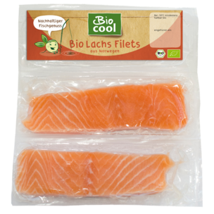 Lachs-Filets