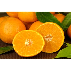 Orangen  Navel 